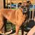 Barbie Kerr-Traylor's profile image