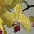 Alan Affelt's profile image