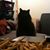 Melissa Belila's profile image