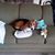 Robin Nielsen Brown's profile image