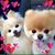 Graciela Gonzalez's profile image