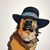 Wallace T Bronson's profile image