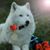 Judy Williams's profile image