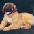 Julie Hatlas Pepper's profile image