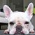 Griselda Fernandez's profile image