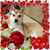 Katy Branam's profile image