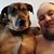 Greg Gering's profile image