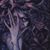 Brenda Stowell Biggs's profile image