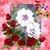 Cindy Larson's profile image