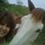 Beth Perry-Pelkey's profile image