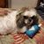 Shelly Dabbs's profile image