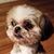 Kelly Smith's profile image