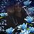 Teresa Thompson Coomer's profile image