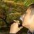 Thanh Vo's profile image