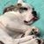 Stephanie Gabborin's profile image