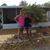 Lois Cassavaugh's profile image