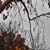 Wendy Marcus Gogel's profile image
