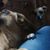 Roselliny Tavara Bruno's profile image
