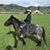 Josh Palmatier's profile image