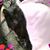 Heidemarie Emmert's profile image