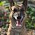 Karen Barkis's profile image