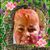 Shelley Clark's profile image