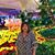 Rosanna Montejo's profile image