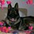 Valerie Richards's profile image