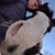 Melanie Slatter's profile image