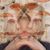 Carlye Tomasello's profile image