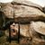 Anna Sparrell's profile image