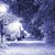 Judy Sabene's profile image