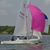 Susan Knight Domagala's profile image