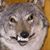 Kyle Johnson's profile image