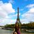 Caitlyn D'Agati's profile image