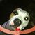 Fran Baize's profile image