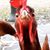 Roxanne King's profile image