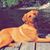 Elaine LaFrance's profile image
