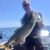 Paul Bruch's profile image