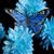 Aunt Sharon's profile image
