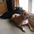 Bonnie Lee Marquess's profile image