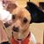 Ardes Flanigan-shepard's profile image