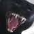 Liz Zufall's profile image