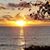 Laura Chemnitz's profile image