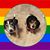 Catherine Clowers's profile image