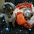 Amy Rigsby Rush's profile image