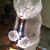 Amanda Mather's profile image