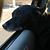 Elaine M. Brooks's profile image