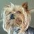 Rusty N Barb Hoy's profile image