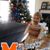 Kelly Gossum's profile image